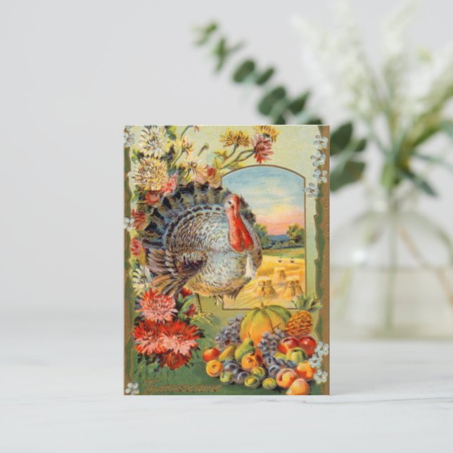 Carte Postale vintage Thanksgiving Dinde (Debout devant)