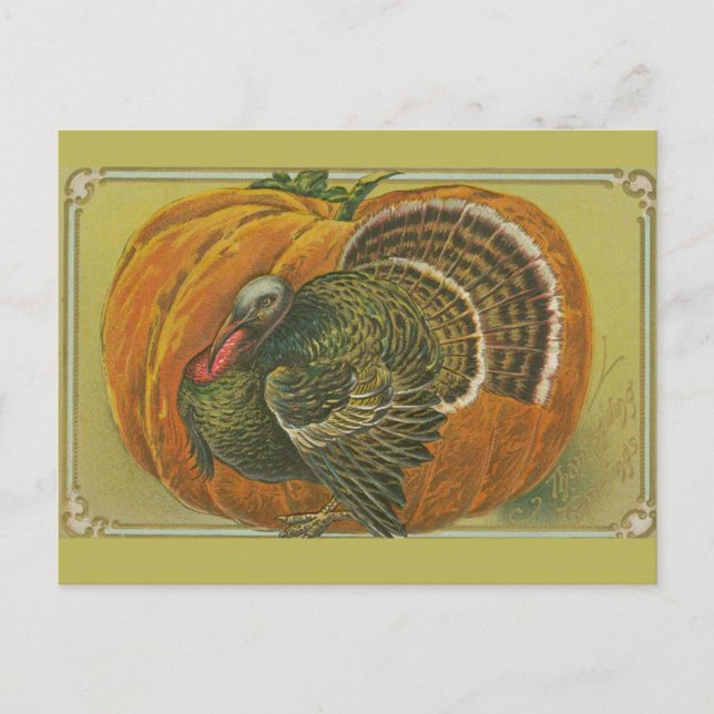 Carte Postale Vintage Thanksgiving salut dinde et citrouille (Devant)