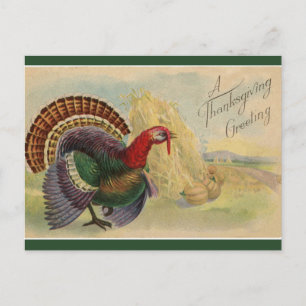 Carte Postale Vintage Thanksgiving Turkeys et Haystaches