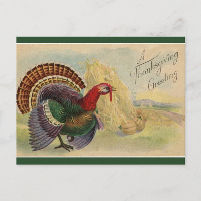Carte Postale Vintage Thanksgiving Turkeys et Haystaches (Devant)
