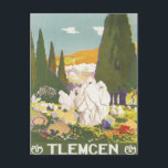 Carte Postale Vintage Tlemcen Algérie<br><div class="desc">Tlemcen Algérie Afrique Vintage voyage ArtVintage illustrations nostalgiques et colorées d'hôtels anciens et élégants et de complexes de luxe du monde entier. Notre collection d'oeuvres d'art visite les destinations touristiques de l'ancienne affiches de voyage et les étiquettes de bagages présentent des paysages luxuriants, des villes en plein essor et des...</div>