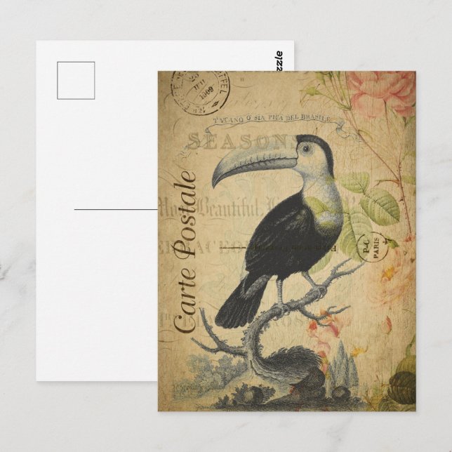 Carte Postale Vintage Toucan Bird (Devant / Derrière)