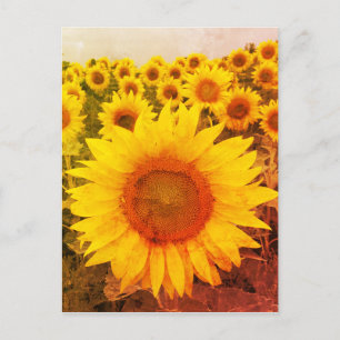 Carte postale vintage Tournesol Rustique