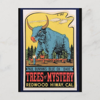 Carte Postale Vintage travel - California Trees of Mystery