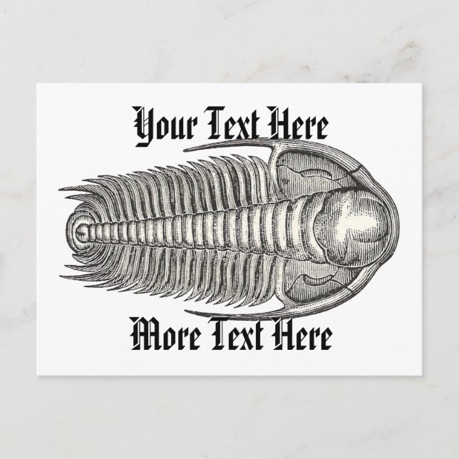Carte postale vintage Trilobite (Devant)