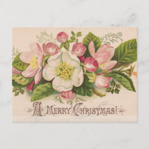 Carte Postale Vintage Une Joyeuse Pomme De Noël Fleurit