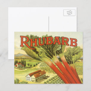 Carte Postale Vintage Végétal Can Étiquette Art, Rhubarb Farm