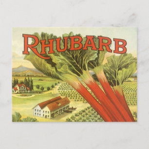 Carte Postale Vintage Végétal Can Étiquette Art, Rhubarb Farm