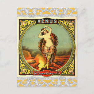 Carte postale vintage Venus Ephemera