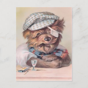 Carte postale vintage Vieux Chien Salé