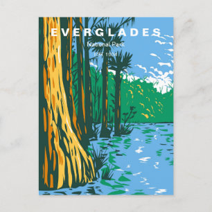 Carte Postale Vintage voyage Everglades Parc National Floride