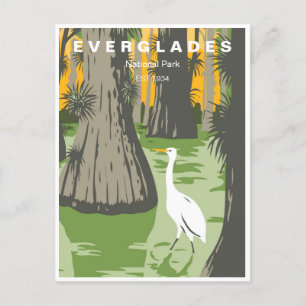 Carte Postale Vintage voyage Everglades Parc National Floride