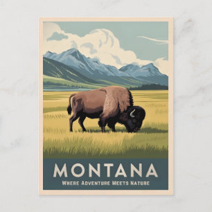 Carte Postale Vintage voyage Montana Bison Faune Rétro Pittoresq