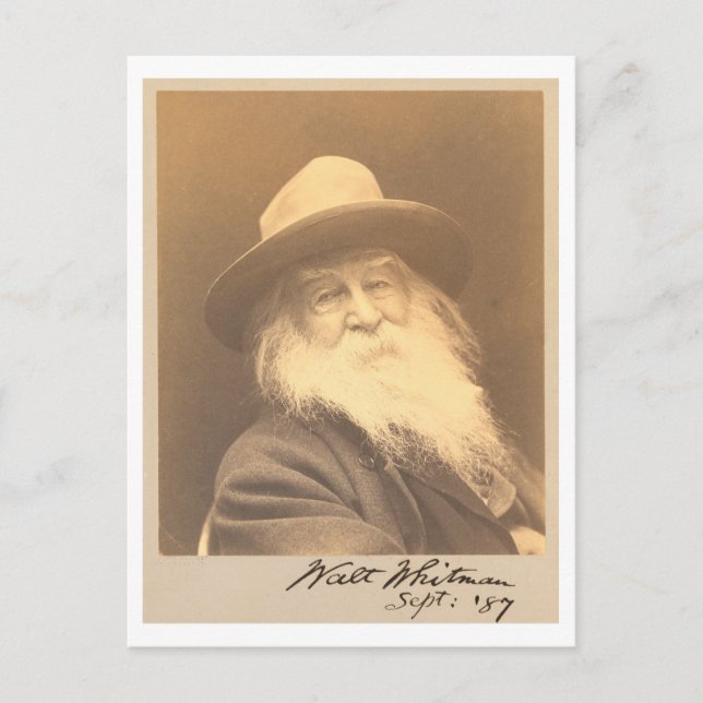 Carte Postale Vintage Walt Whitman Portrait (Devant)
