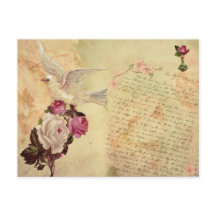 Carte postale vintage White Dove Shabby Chic