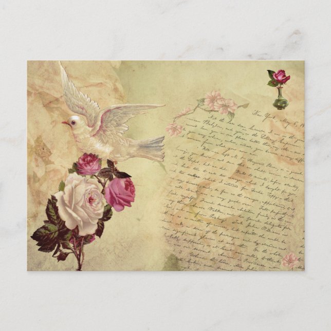 Carte postale vintage White Dove Shabby Chic (Devant)