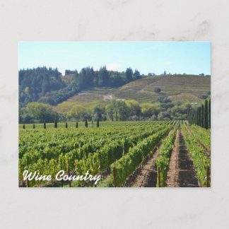Carte Postale Vintards du Pays Vin