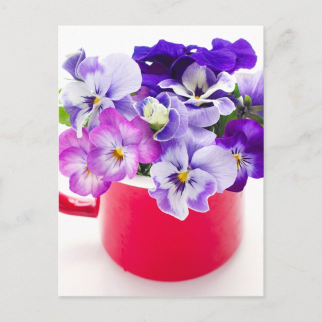 Carte Postale violet (Devant)