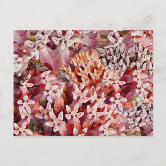 Carte Postale Violet (Devant)