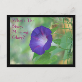 Carte Postale Violet