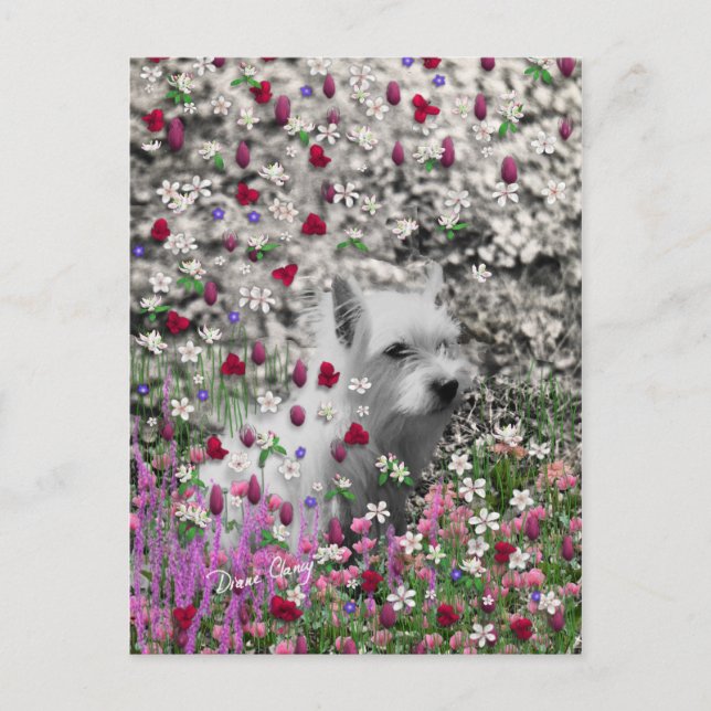 Carte Postale Violet en Fleurs - Chien blanc Westie (Devant)
