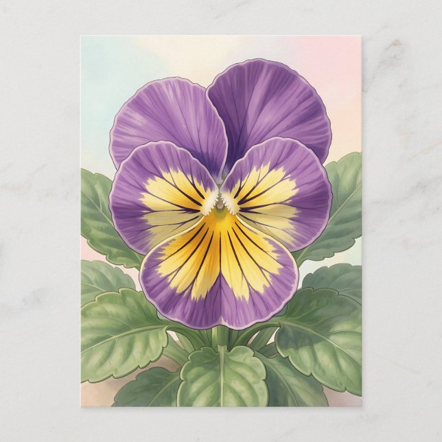 Carte Postale Violet Jaune Vibrant Fleur de Pensée Botanique  (Devant)