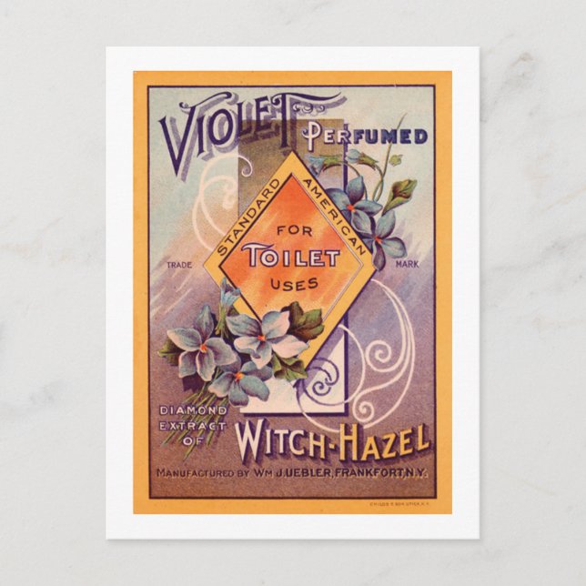 Carte Postale Violet parfumé - 1903 (Devant)