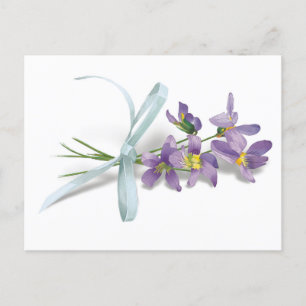 Carte postale violette