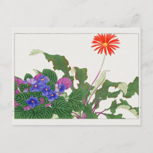 Carte Postale Violette africaine, Gerbera par Tanigami Konan