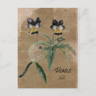 Carte postale violette de style vintage