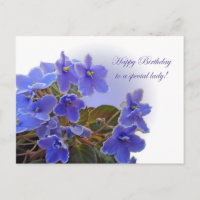 Violettes africaines bleues