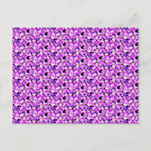 Carte Postale Violettes roses et violettes
