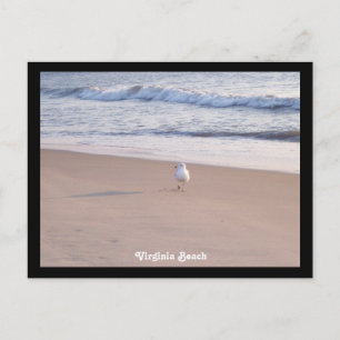 Carte Postale Virginia Beach