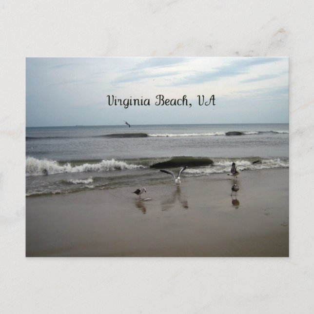 Carte Postale Virginia Beach, VA (Devant)