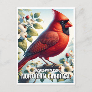 Carte Postale Virginie State Bird Northern Cardinal