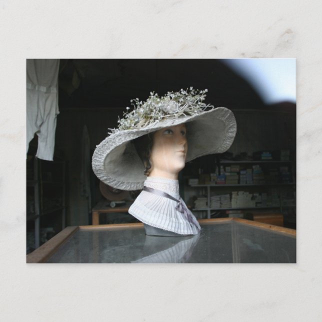 Carte Postale Virigina (Devant)