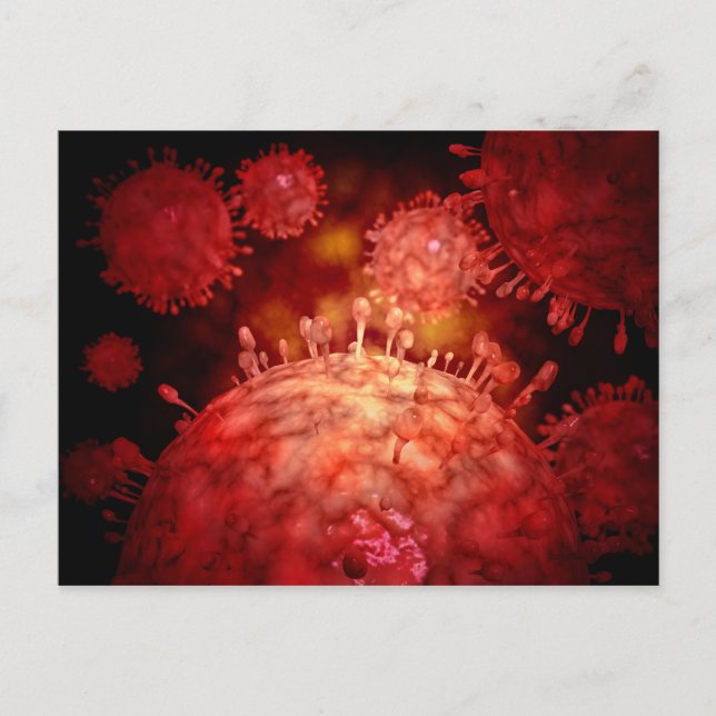 Carte Postale Virus Influnza du porc (Devant)