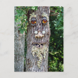 Carte Postale Visage d'arbre