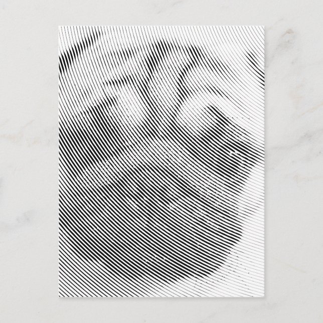 Carte Postale Visage de Carlin (Devant)