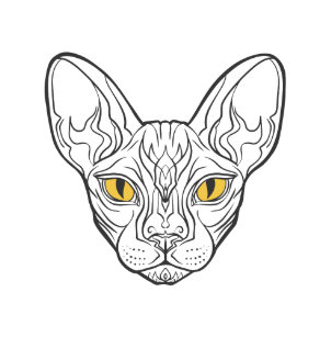 Invitations Faire Part Cartes Sphynx Zazzle Fr Invitations Faire Part Cartes Sphynx Zazzle Fr