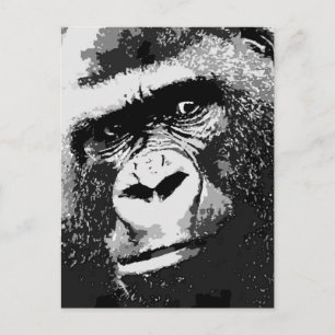 Carte Postale Visage de Gorilla