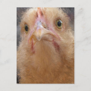 Carte Postale Visage de poulet