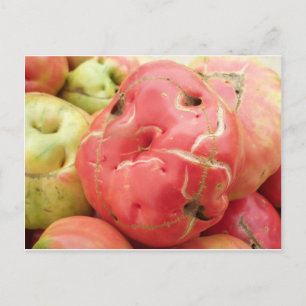 Carte Postale Visage de tomate