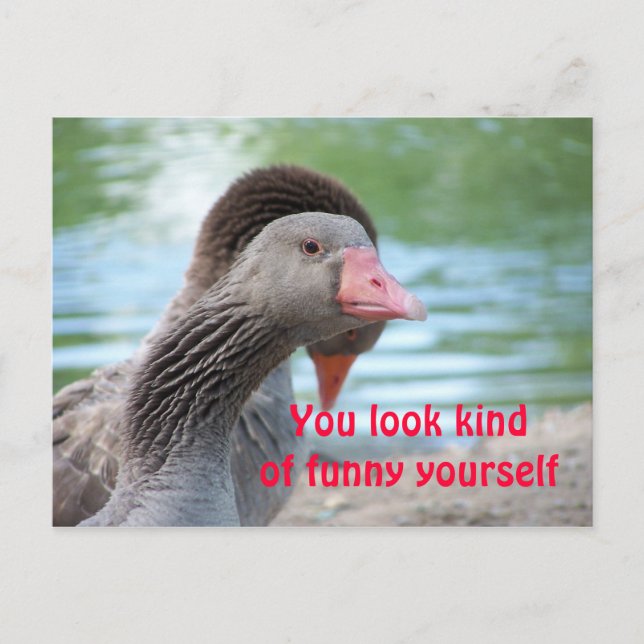Carte Postale Visage drôle (Devant)