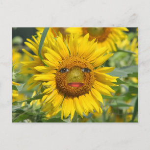 CARTE POSTALE VISAGE DU SOLEIL