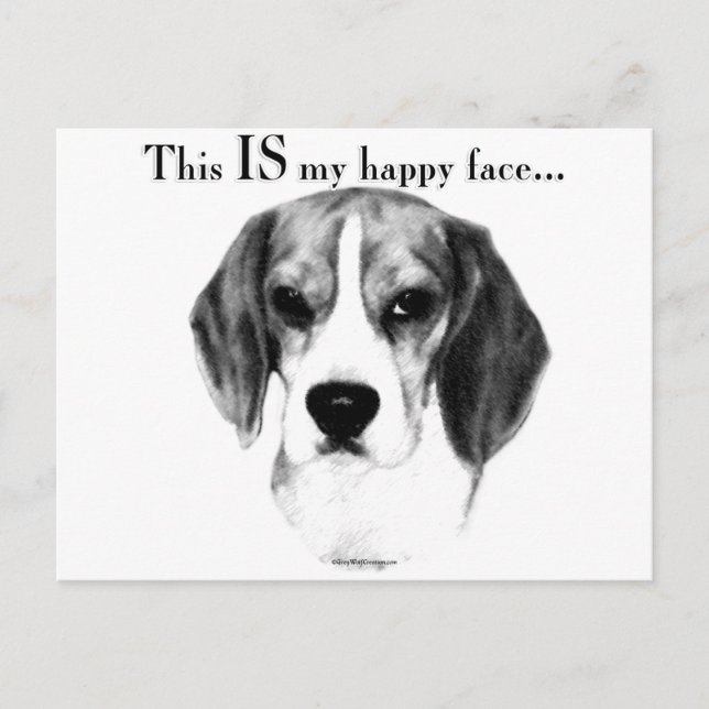 Carte Postale Visage heureux du beagle (Devant)