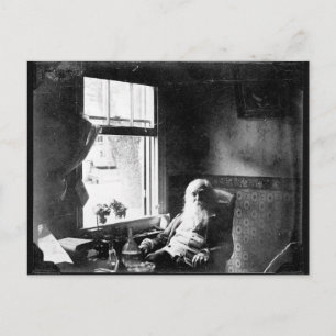 Carte Postale Visage toujours au soleil : Whitman à Mickle St.