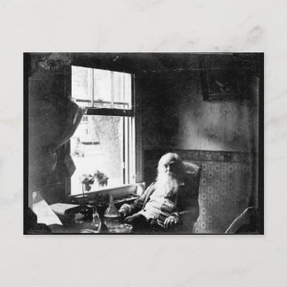 Carte Postale Visage toujours au soleil : Whitman à Mickle St.