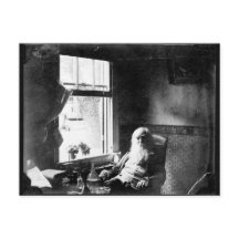 Visage toujours au soleil : Whitman à Mickle St.