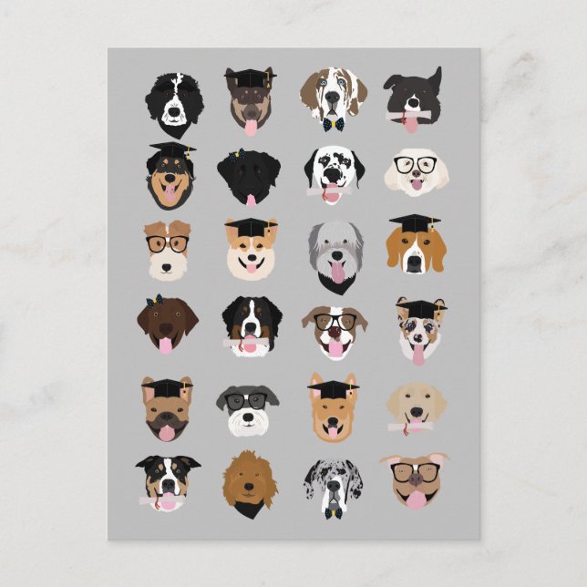 Carte Postale Visages de chien de fin d'études (Devant)